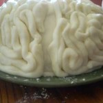 Making the brain