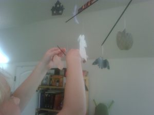 IMG00634