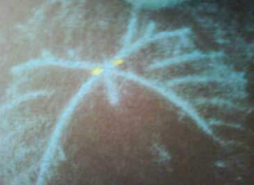 chalk-monster-leaf