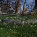 A Halloween Picnic – In a Graveyard!