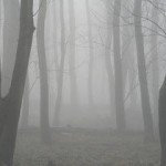 Looking for the New Jersey Devil - Photo by Wireguy