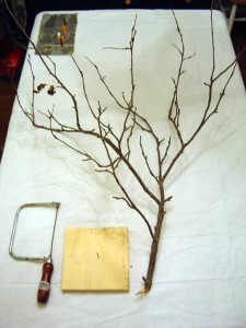 halloween-tree01