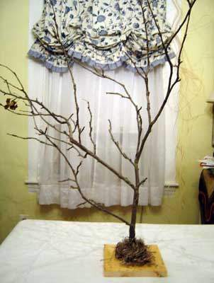 halloween-tree02