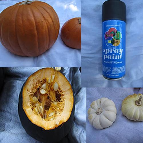 cat o lantern supplies 2