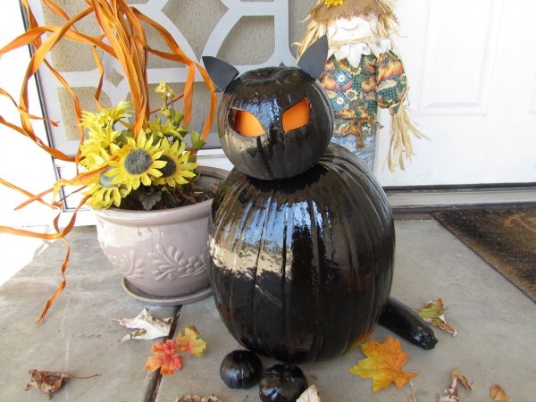 catolantern